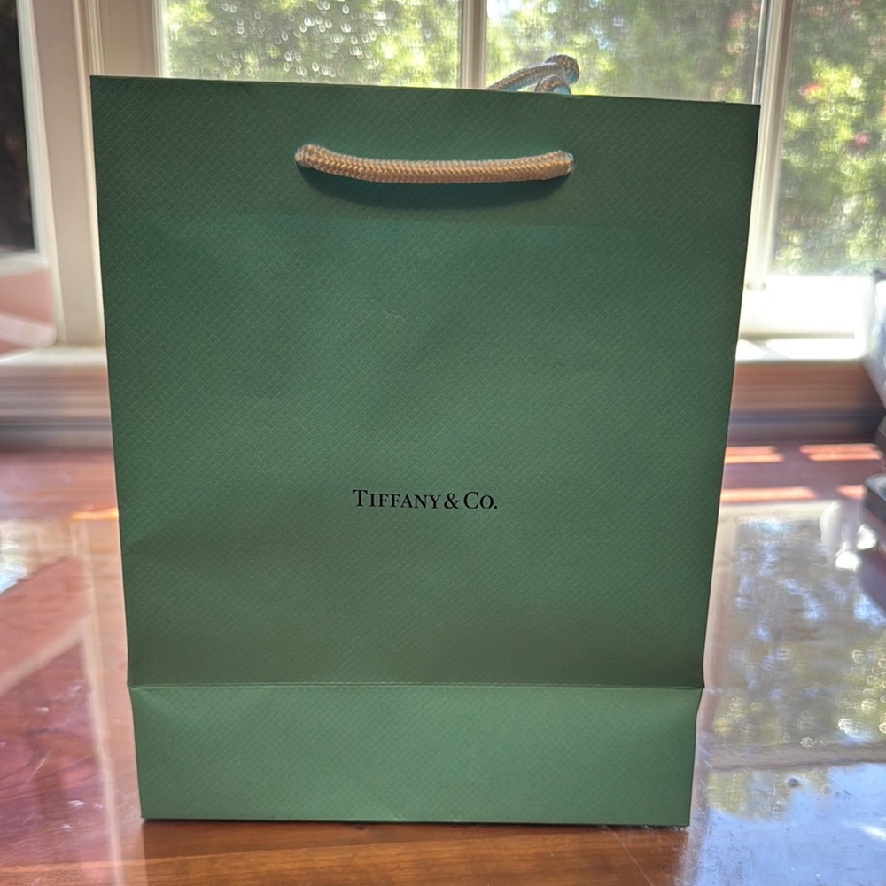 Tiffany & Co. Teal Shopping Bag